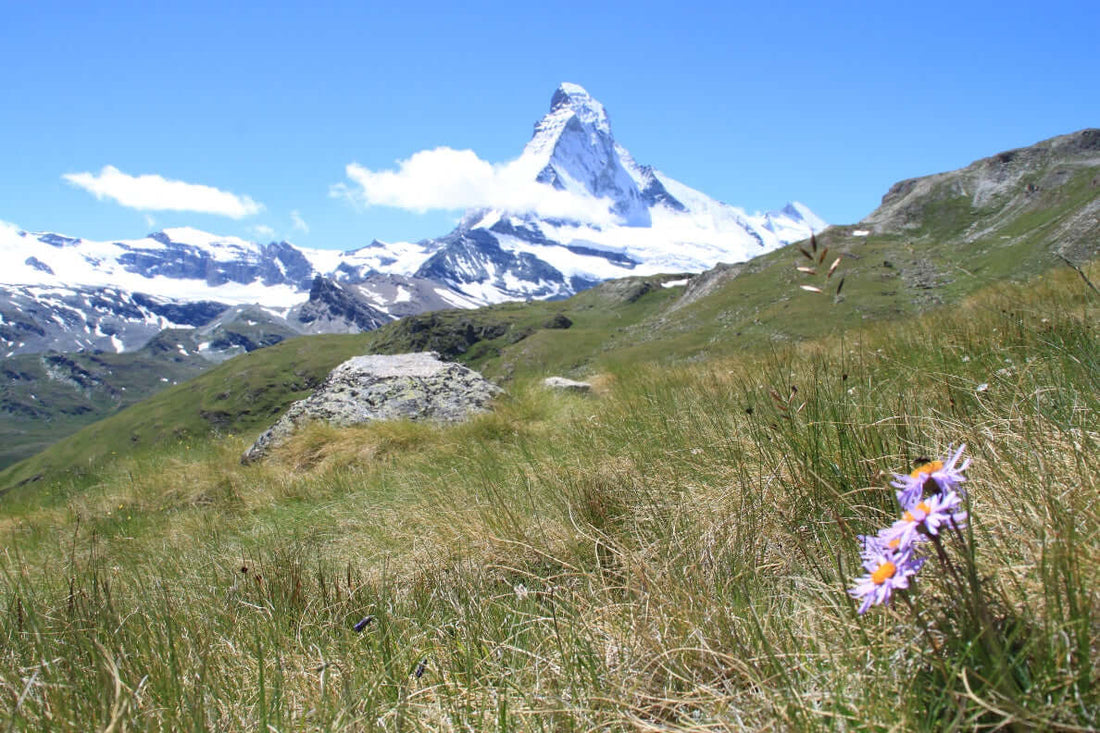 LE SOLEIL À LA MONTAGNE